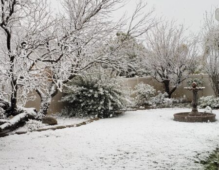 남가주 30여년만의 폭설 (은혜의 함박눈-목사님 사택) 03.01.2023