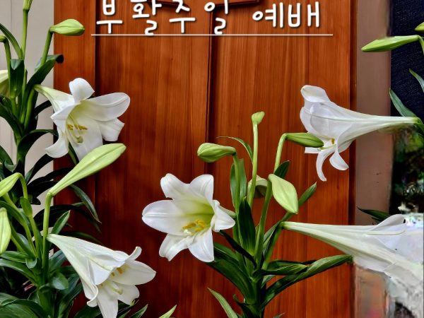 Happy Easter 04.20.2025