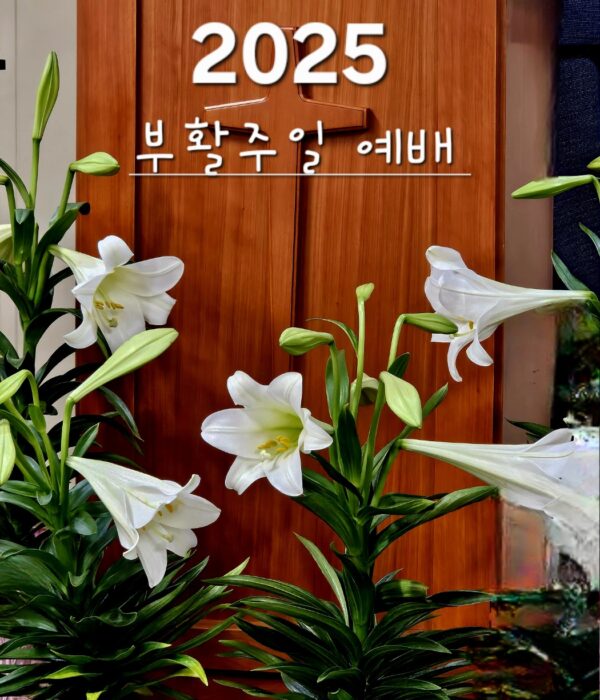 Happy Easter 04.20.2025